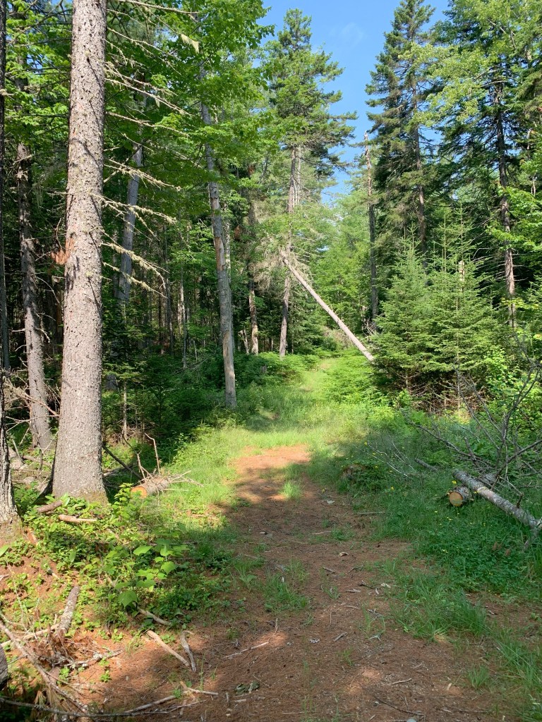 "Canoeing" (facetious)